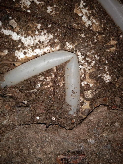 北仑堵点精准查找